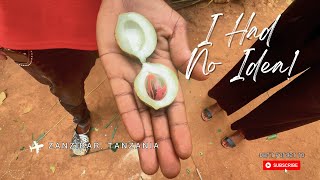 Download Lagu Exploring a Traditional Spice Farm in Zanzibar | Eat Pray Love: Africa MP3