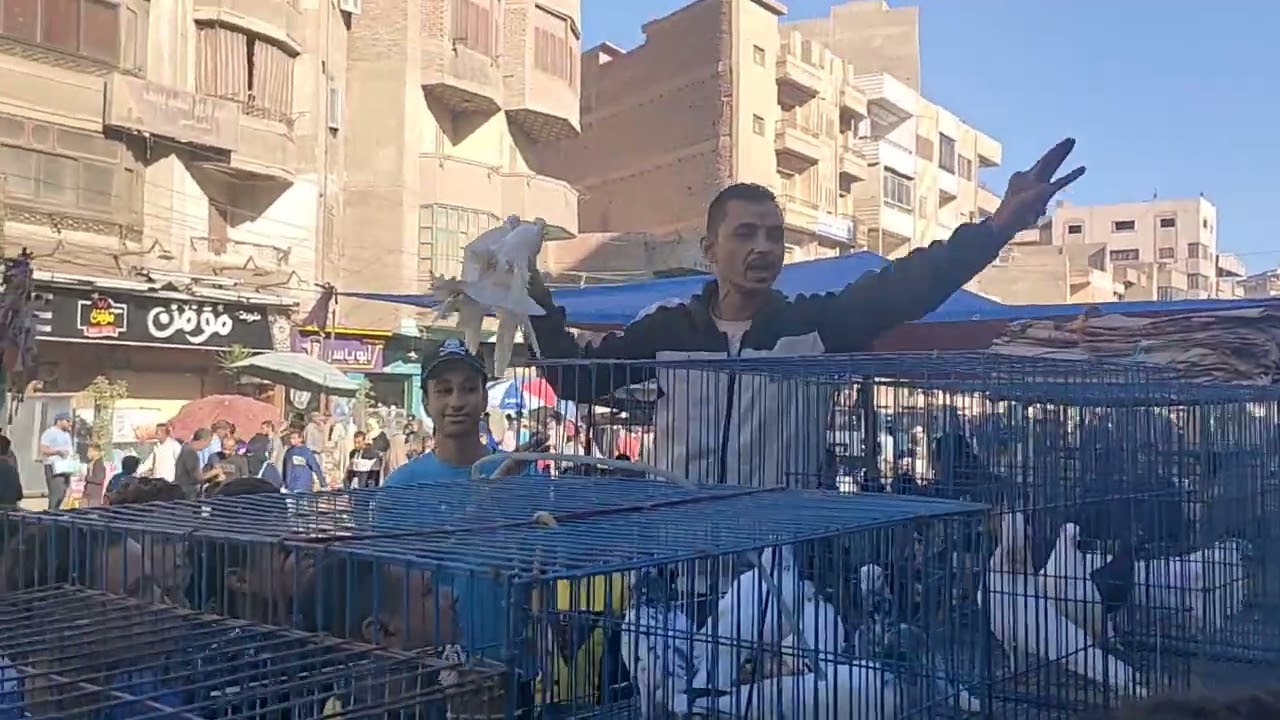 مزاد المحله ومين اللي خدهم تخيل ❤️