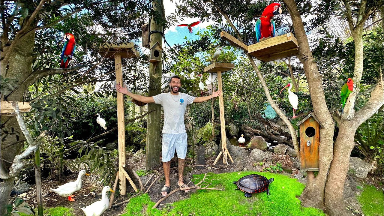 I Built NEST BOXES For My BIRDS In The AVIARY!