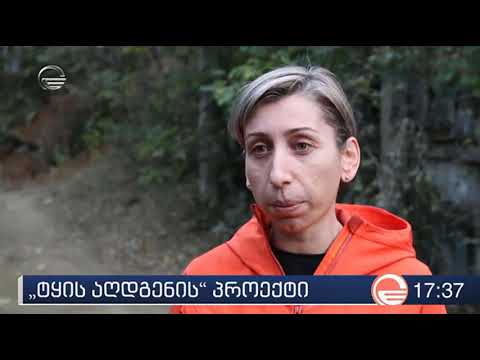 ტყის აღდგენის პროექტი დაბა წაღვერში