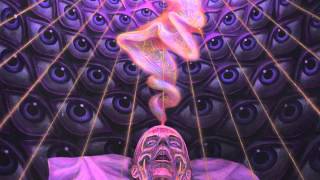 Terence Mckenna Discusses Death