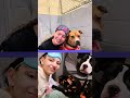 Dog rescue has unique fundraiser. See adorable slumber party.