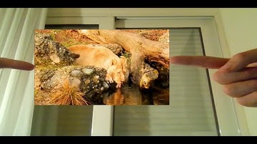 Video Handling and Augmentation with Fingertips! (OpenCV - Python)