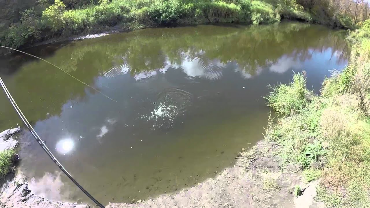 Fly Fishing With the Kids YouTube