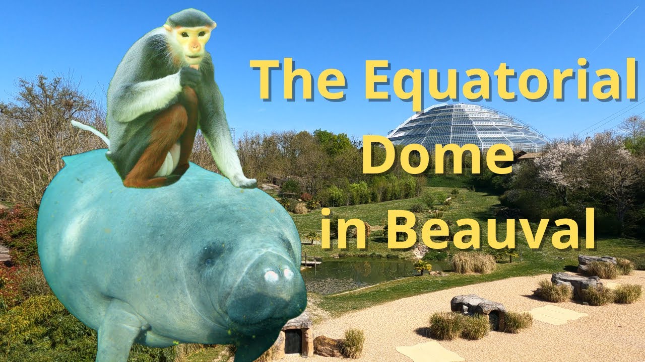 The Equatorial Dome at Beauval Zoo: A Mini Tropical World in France