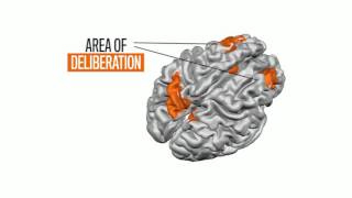 Johns Hopkins Researches Glimpse "Free Will" Activity In The Brain
