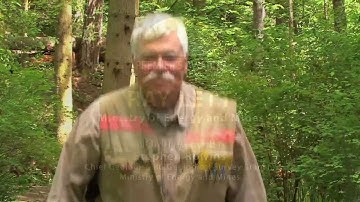 The Geochemist Who Did