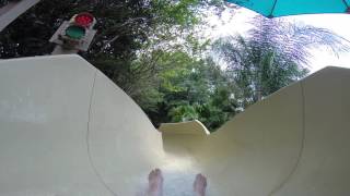 Jaguar Pool Slide POV - Coronado Springs Resort - Walt Disney World
