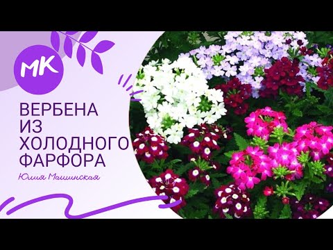 Мк "Вербена" из холодного фарфора