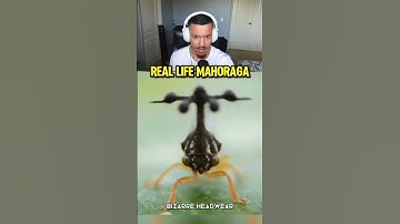 MAHORAGA IS REAL 💀 #shorts