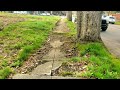 FILTHY Sidewalk Deemed Too DANGEROUS & UNSAFE To Use | FREE Makeover