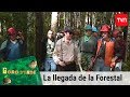 La llegada de la forestal | Oro verde - T1E1