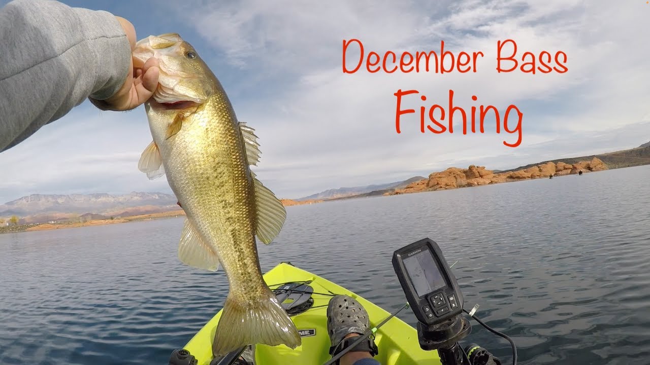 December Bass Fishing 2023