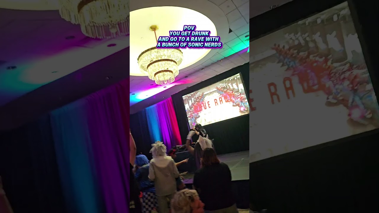 POV you go to a Sonic Rave 