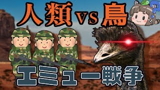 戦争 エミュー