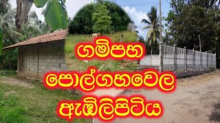 land sale in gampaha, polgahawela and embilipitiya | land sale in sri lanka | idam sale | maddumaya