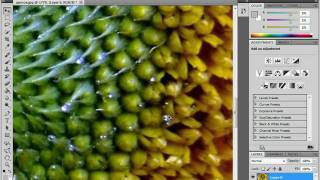 Системные требования для Adobe Photoshop CS5 (3/19) Системные требования для Adobe Photoshop CS5 (3/19)