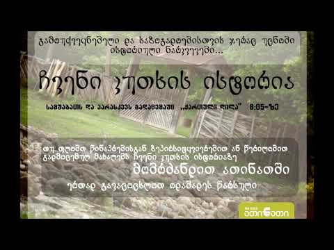 ზუგდიდის რესპუბლიკა (მეორე ნაწილი)