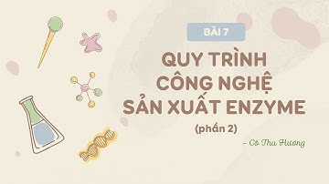 Bài 7. Quy trình công nghệ sản xuất enzyme (P2) - Sinh 10 - Chân trời sáng tạo - Chuyên đề - OLM.VN