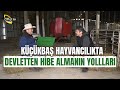 Küçükbaş Hayvancılıkta Devletten Hibe Almanın Yolları - Küçükbaş Dünyası