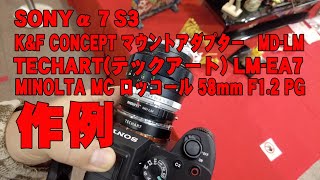 作例】 SONYα7S3 & MINOLTA MC ROKKOR 58mm F1.2 鷹の目ロッコール