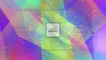 sightsignal - Web Connection Loop 5