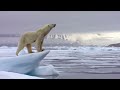 Schöpfung vs Evolution | Wer denkt muss glauben!