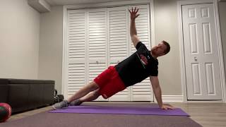 Bear Crawl Hand Walkout + T Rotation