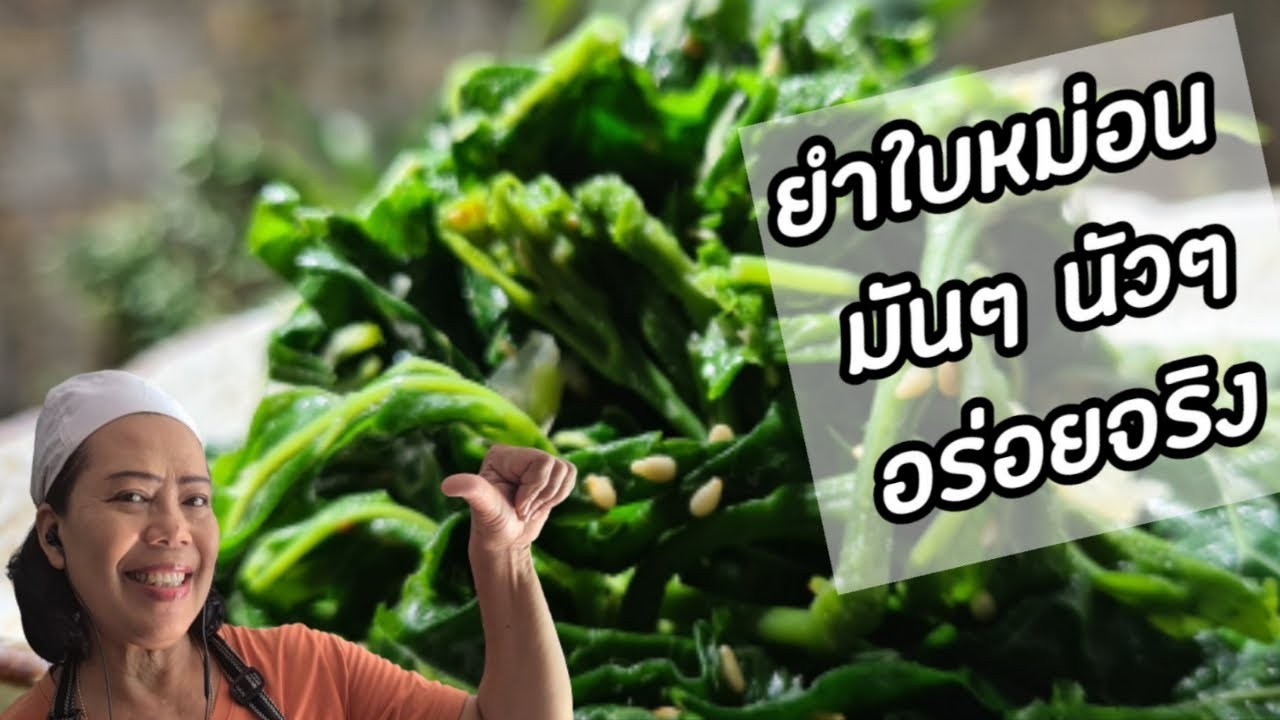 ยำใบหม่อน  ยำสมุนไพรใบหม่อนกินข้าวต้มหมดหม้อ | ข้อมูลที่เกี่ยวข้องกับใบ หม่อน ทำ อาหารที่มีรายละเอียดมากที่สุด