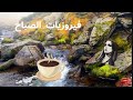 أجمل أغاني فيروز الصباحية Fairuoz فيروزيات الصباح قهوة الصباح صباح الخير طبيعة Nature اكسبلور أجمل أغاني فيروز الصباحية Fairuoz فيروزيات الصباح قهوة الصباح صباح الخير طبيعة Nature اكسبلور