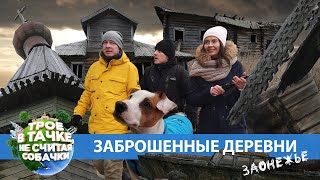 ТРОЕ В ТАЧКЕ, НЕ СЧИТАЯ СОБАЧКИ  | Заброшенные деревни. Заонежье.