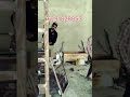 🔥 "Foodcart Build Timelapse – মাত্র 1.5 মিনিটে সম্পূর্ণ প্রস্তুত! | E Ve with Rajib"