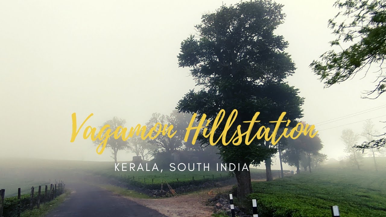 Vagamon Hills I Pine Forest