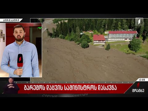 გარემოს დაცვის სამინისტროს დასკვნა