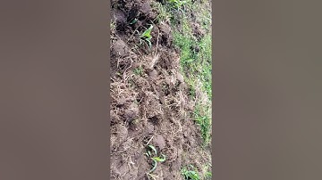 VID 20251112 0945541