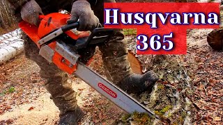 : Husqvarna 365     .   .