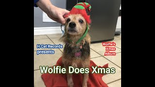 Wolfie Does Xmas