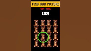 Can you find the correct picture || Riddles And Puzzles For Iq Test || part HA || #quiztime #shorts