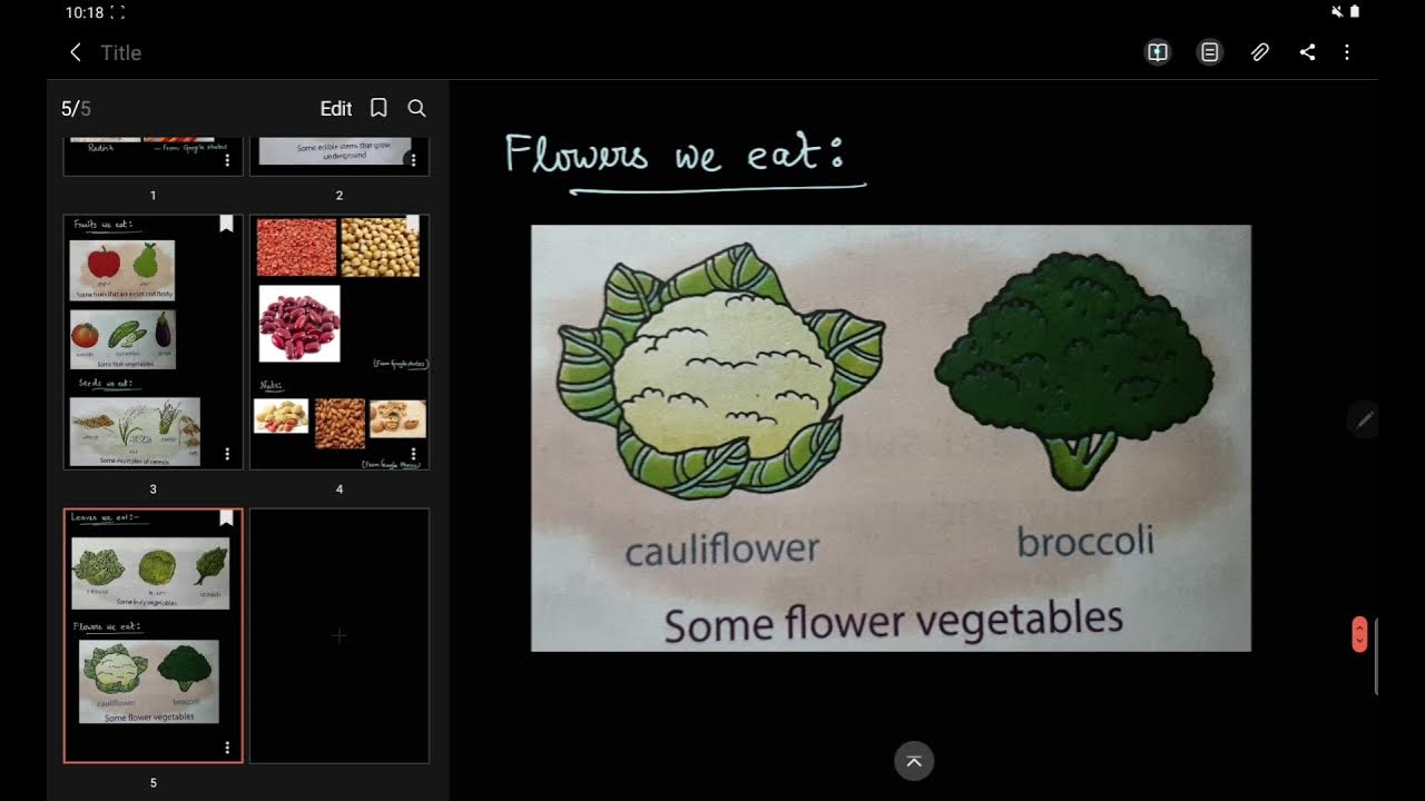 24.Parts of plants we eat(roots, stems,leaves,flowers,fruits,seeds