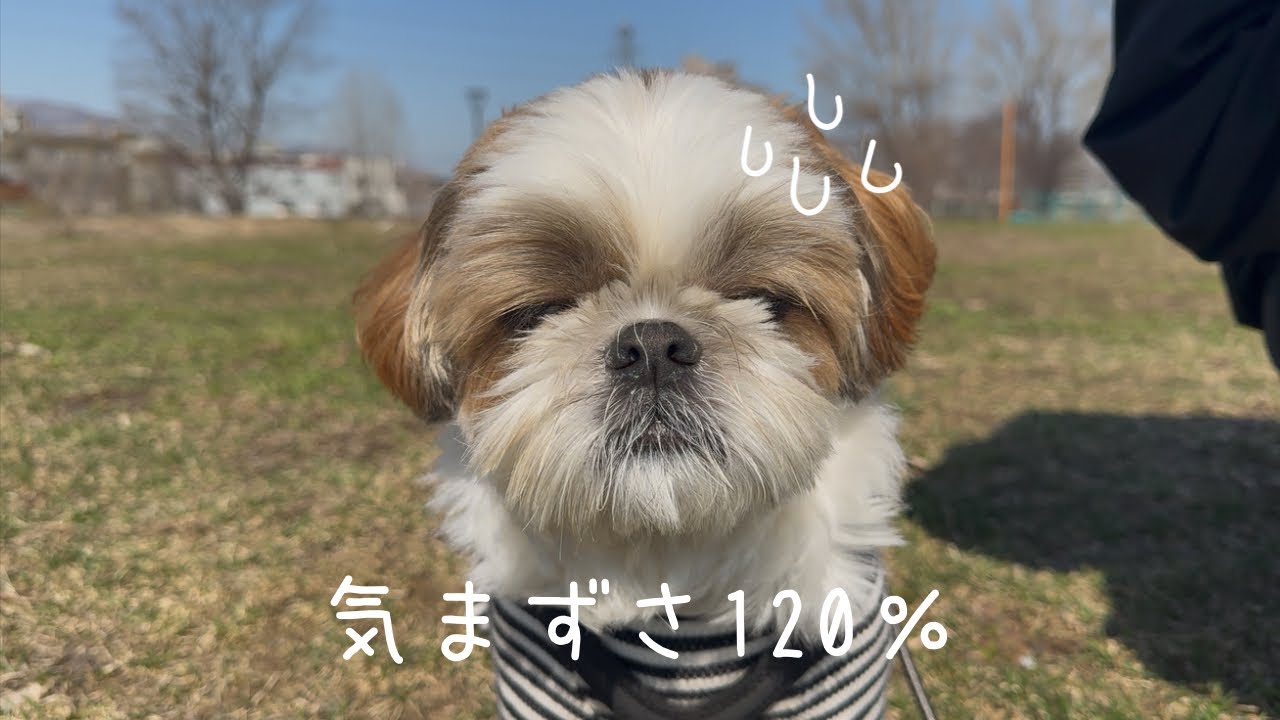 maxresdefault.jpg