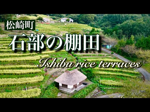 【石部の棚田　2024秋】〜美しい秋の棚田を空撮〜＃石部の棚田　＃松崎町　＃日本で一番美しい村