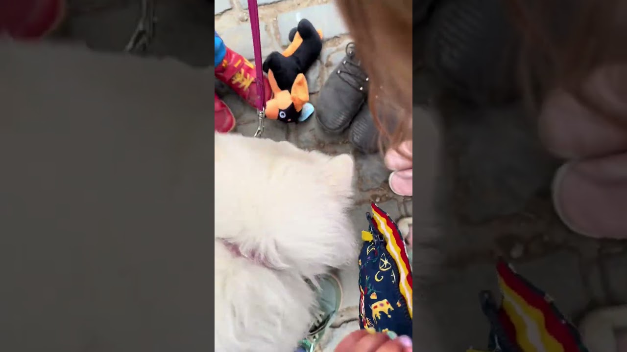 Wow they got filthy during our Easter holiday 🤣 kids! 