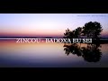 ZINCOU - BADOXA EU SEI 2K19