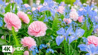 🌸 Beautiful Flowers in 4K | Nature at Its Most Beautiful screenshot 2