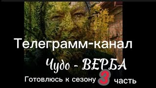 🌿ЧУДО-ВЕРБА🌿