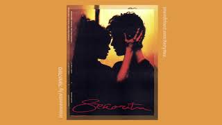 Video-Miniaturansicht von „Camila Cabello, Shawn Mendes – Senorita (Instrumental)“