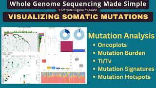 Somatic Mutation Visualization with maftools: Oncoplots, TMB & Mutation Signatures screenshot 5
