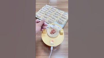 Effortless Dumpling Making with the Automatic Dumpling Machine | Yodimoms