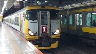 【わかしおさざなみ50周年ラッピング】E257系NB-01編成特急開運・初詣号新宿駅行き四ッ谷駅通過(2023/1/3)