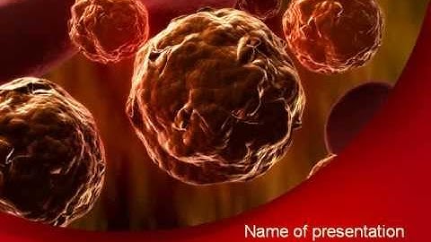 Inside the Circulatory System PowerPoint Template